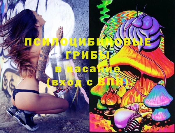 метамфетамин Алексин