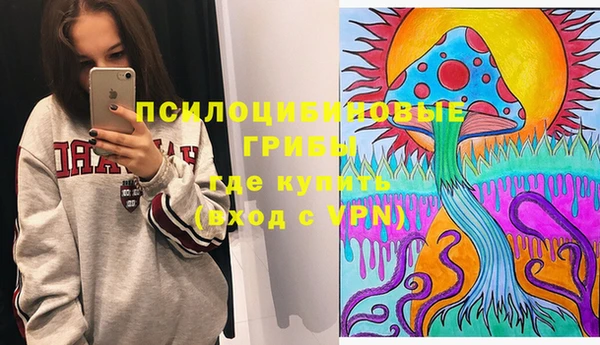 МДПВ Алексеевка
